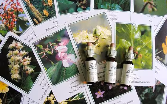 El Tarot y las Flores de Bach